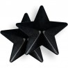 Cache-tétons étoiles noirs : zoom relief