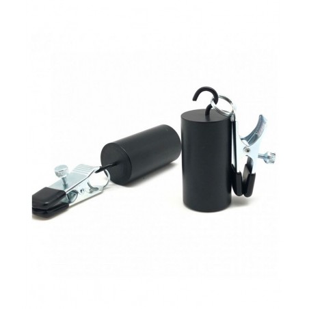 Poids amovibles 300 g avec pinces