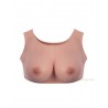 Buste faux seins col rond foncé, de face