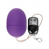 Oeuf vibrant télécommandé lilas S avec sa télécommande