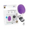 Oeuf vibrant télécommandé lilas S avec packaging