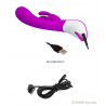 Rabbit Harlan 12 vitesses : recharge usb